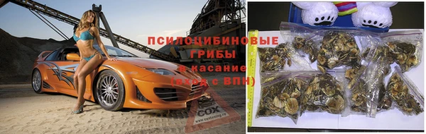 2c-b Балахна