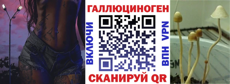 где продают   Темников  Галлюциногенные грибы ЛСД 